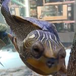 Patrick Ewers - @negociosmiau28 - Instagram