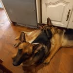 Patrick Fages - @patrick.fages.50 - Instagram
