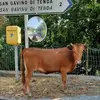 patrickfarges2 - @patrickfarges2 - TikTok