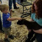 Patrick County Agricultural Fair Livestock Show - Facebook