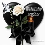 Patrick Falcon Ayala - Facebook