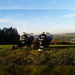 Patrick Falkner - @patrick.falkner.16 - Instagram