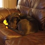 Patrick Fallon - @patrick.fallon1 - Instagram