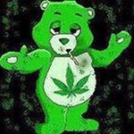 Patrick Fallon - @the.kush_king - Instagram