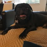 Patrick Falvey - @pjfalvey - Instagram