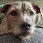 Patrick Fassnacht - @patrickfassnacht - Instagram