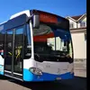 patrickfassl8 - @patrickfassl8 - TikTok