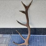 Patrick Fauster - @patrickfauster - Instagram