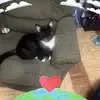 Patrick Federer - @patrick.federer - TikTok