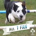 Patrick Feehan - @ascot727 - Instagram