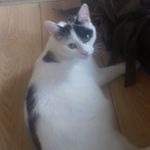 Patrick Feehan - @patrick.feehan.524 - Instagram