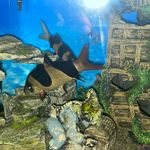 Patrick Feehan - @1960pat - Instagram