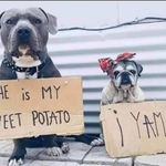 Richie John Patrick Fenn - @eyehavemonkeypocks - Instagram