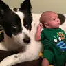 Patrick Ferguson - @patrickferguson32 - TikTok