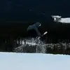 Patrick Ferguson - @patrickrferguson - TikTok