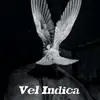 Patrick of Vel Indica - @patrickferguson1975 - TikTok