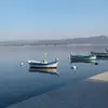 Patrick Ferrand813 - @patrickferrand0 - TikTok