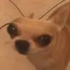 Ferrero_Patrick - @ferrero_patrick - TikTok