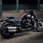 Patrick Ferri - @patrick.ferri.77 - Instagram