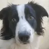 Patrick Ferrier - @patrickferrier - TikTok
