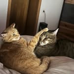 Patrick feyersinger - @feyersingerpatrick0 - Instagram