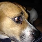 Patrick Field - @pfield1510 - Instagram