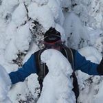 Patrick Fillion - @fillion.p - Instagram