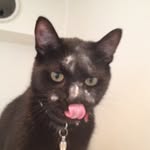 patrick finkel - @patrickfinkel_ - Instagram