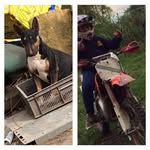 Finley Patrick - @finley.patrick.58 - Instagram