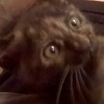 Patrick Finney - @kitygaming - Instagram