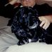 Patrick Fiorelli - Facebook