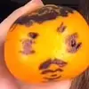 Patricktheslayfish - @patricktheslayfish - TikTok