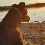 Patrick fisk - @fiskpatrick - Instagram