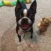 patrickfisk49 - @patrickfisk49 - TikTok