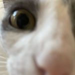 Patrick - @patrick.fix - Instagram