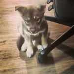 @patrick___flaherty - Instagram