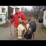 Patrick Flaherty - @pflahert1 - Instagram