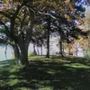 patrickflatley355 - @patrickflatley355 - TikTok