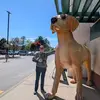 poppy - @patrickflatley783 - TikTok
