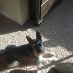 Patrick Flavin - @cathayp - Instagram