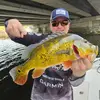Patrick Fleischer - @patrick.fleischer - TikTok