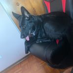 Patrick Fleming - Facebook