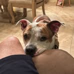 Patrick Flippen - Facebook