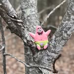 @patrick_the_flippen_star - Instagram