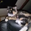 Patrick Florez - @patrick.florez - TikTok