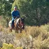 patrickfoos215 - @patrickfoos215 - TikTok