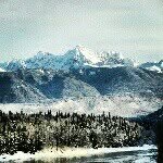 Patrick Forest - @patrickforest - Instagram