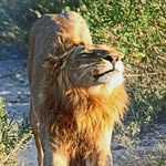 Patrick Forth - @patrick1492 - Instagram