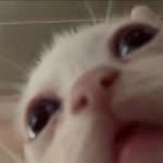 Patrick Forth - @forthpatrick - Instagram