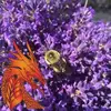 Patrick Fortier - @patrick.fortier3 - TikTok